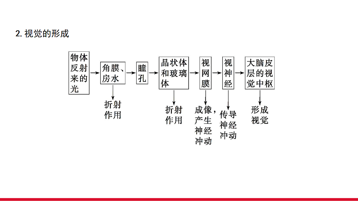 17955882第5页