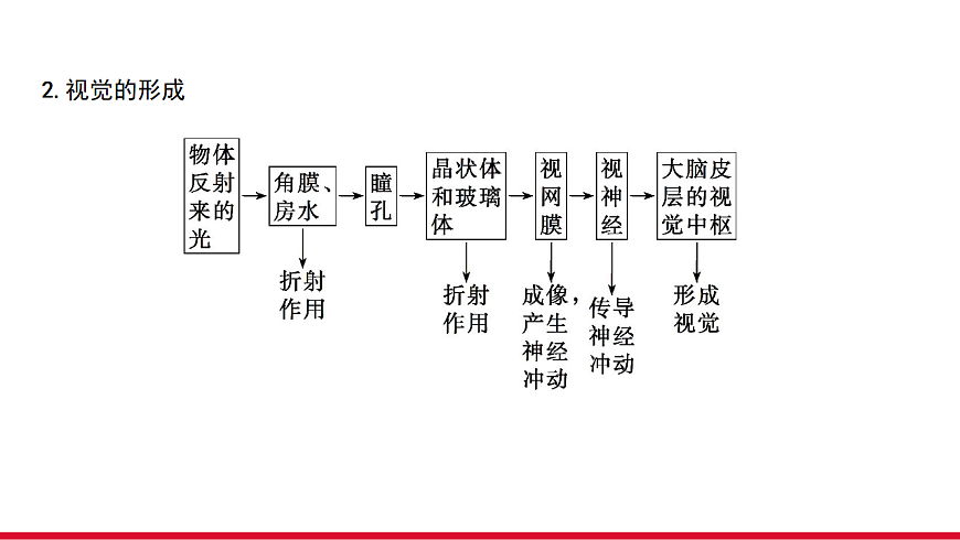 17955882第5页