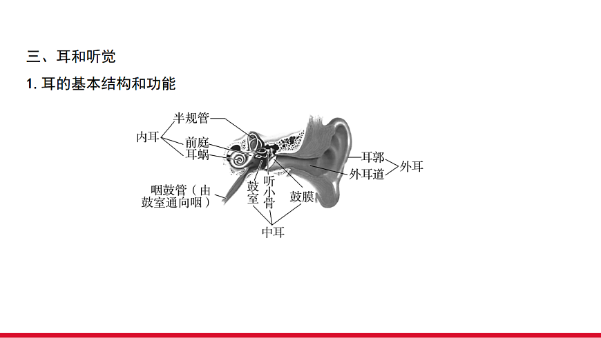 17955882第8页