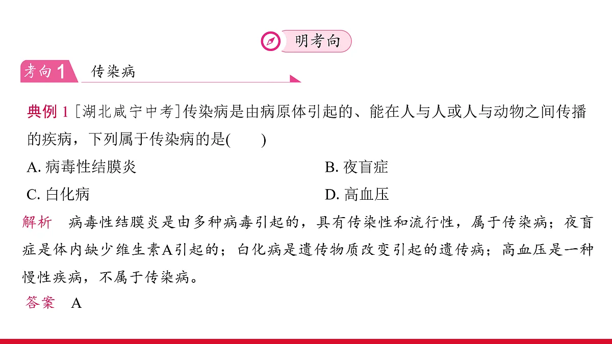 17955883第7页