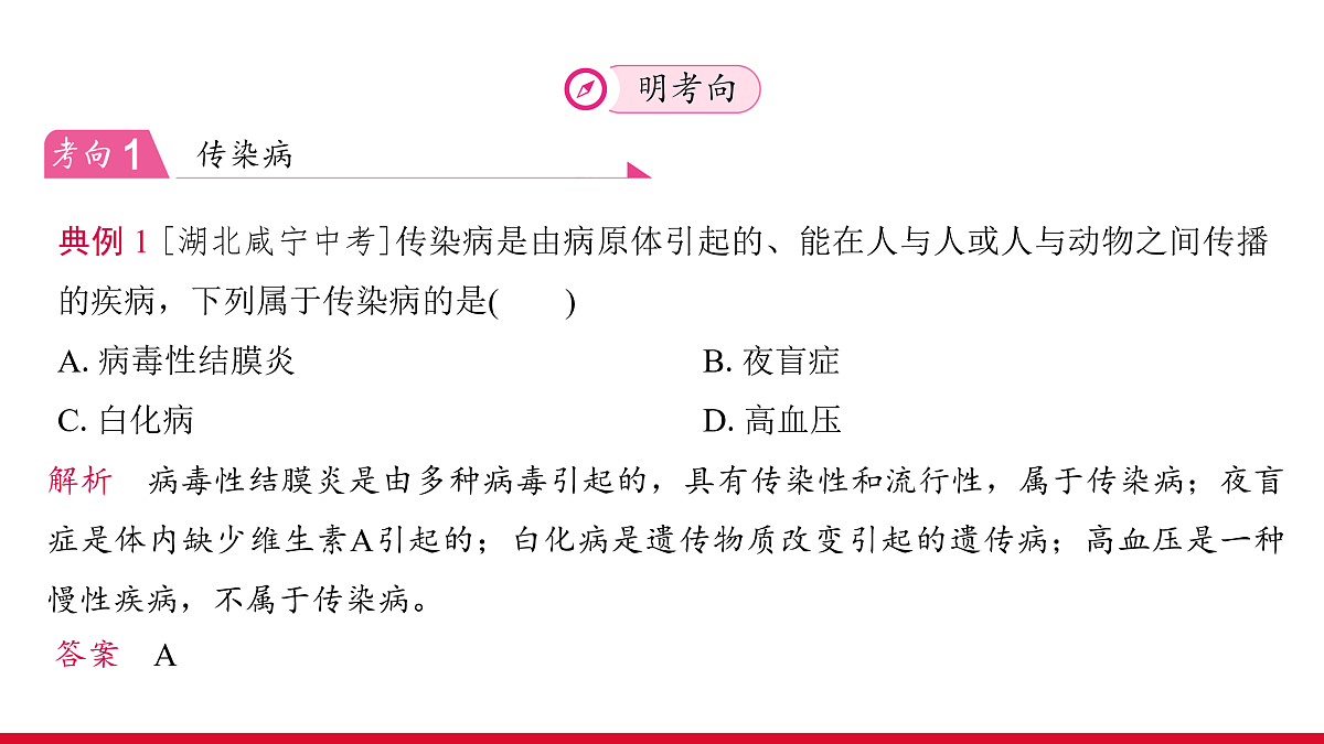 17955883第7页