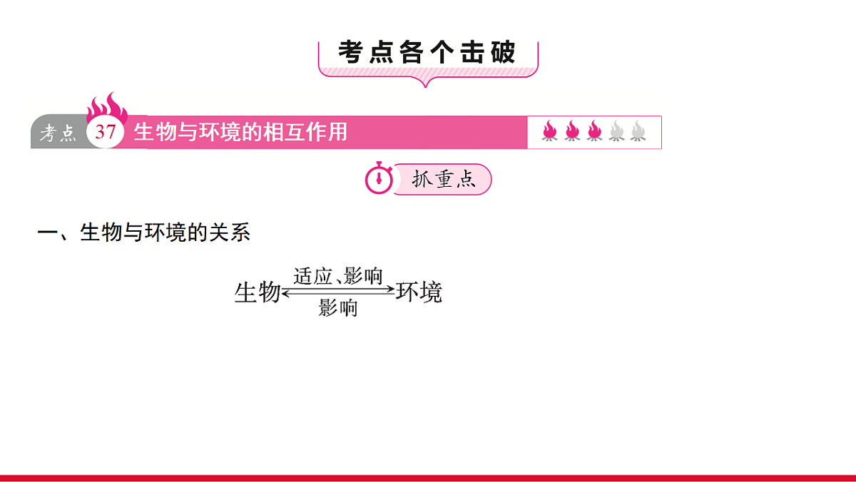 17955885第3页