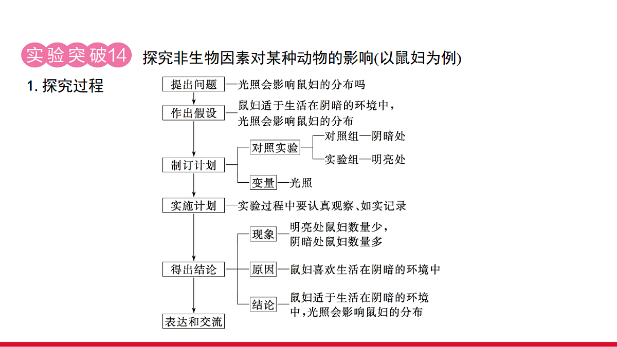 17955885第7页