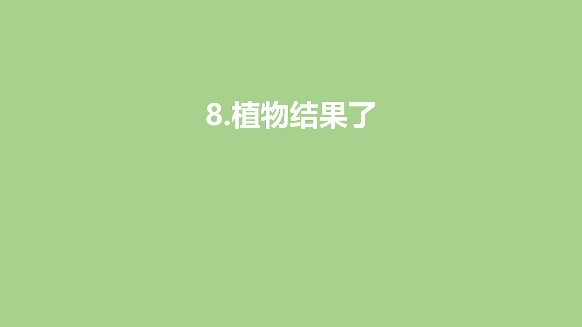 17955904第1页
