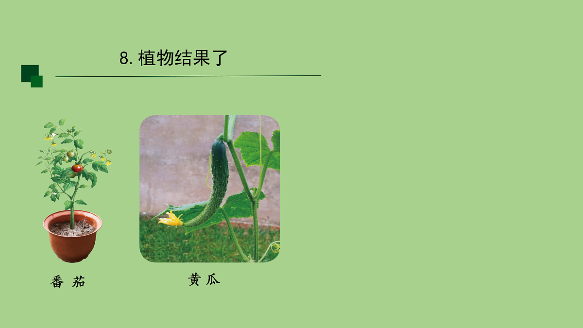 17955904第3页