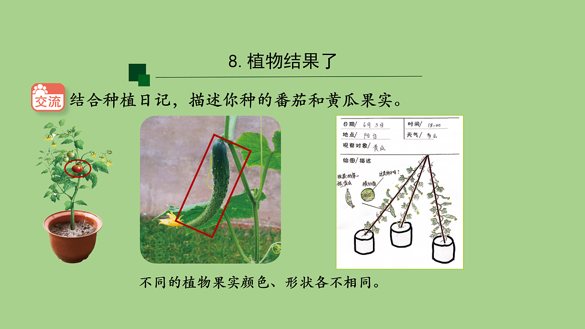 17955904第4页