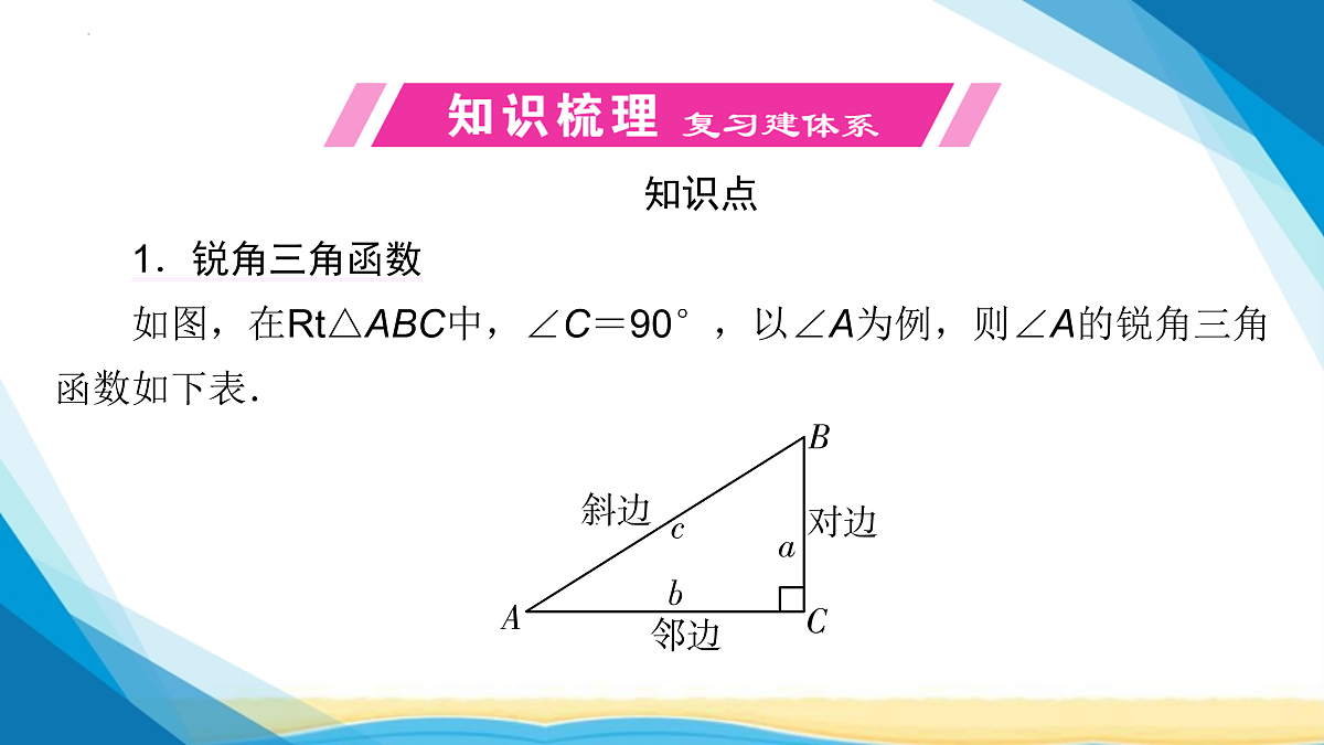 17955921第3页