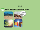 4 晒太阳-课件 2025-2026学年苏教版二年级科学下册