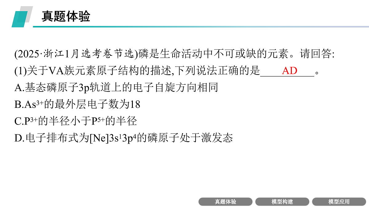 17955958第4页