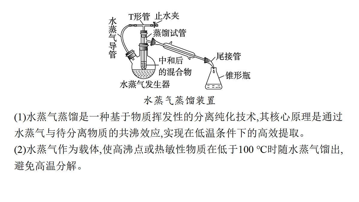 17955998第4页