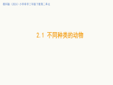 2.1不同种类的动物PPT课件-2026年春小学科学教科版（2024）三年级下册