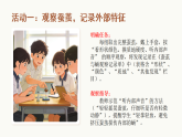 2.5蚕变了新模样 课件-2026年春小学科学教科版（2024）三年级下册