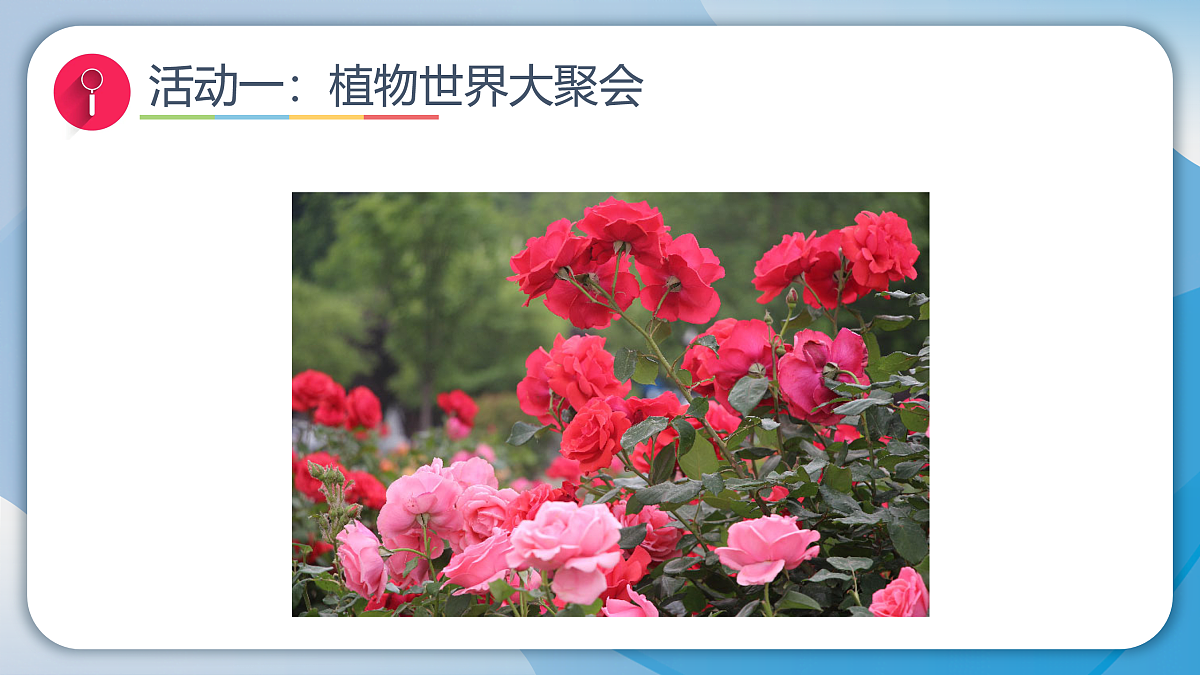 17956214第5页