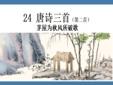 24 《唐诗三首》茅屋为秋风所破歌 课件  2025-2026学年语文统编版八年级下册