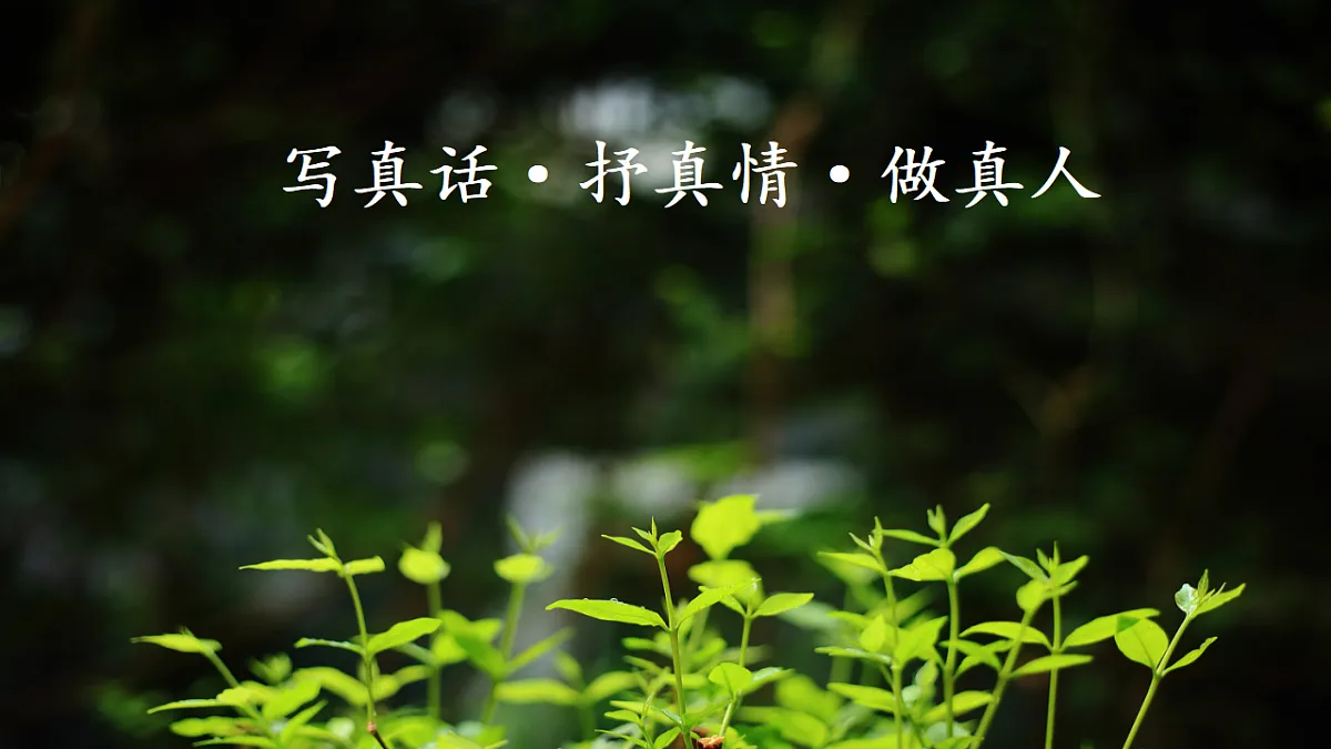 【课件】统编六下第3单元习作《让真情自然流露》第1页