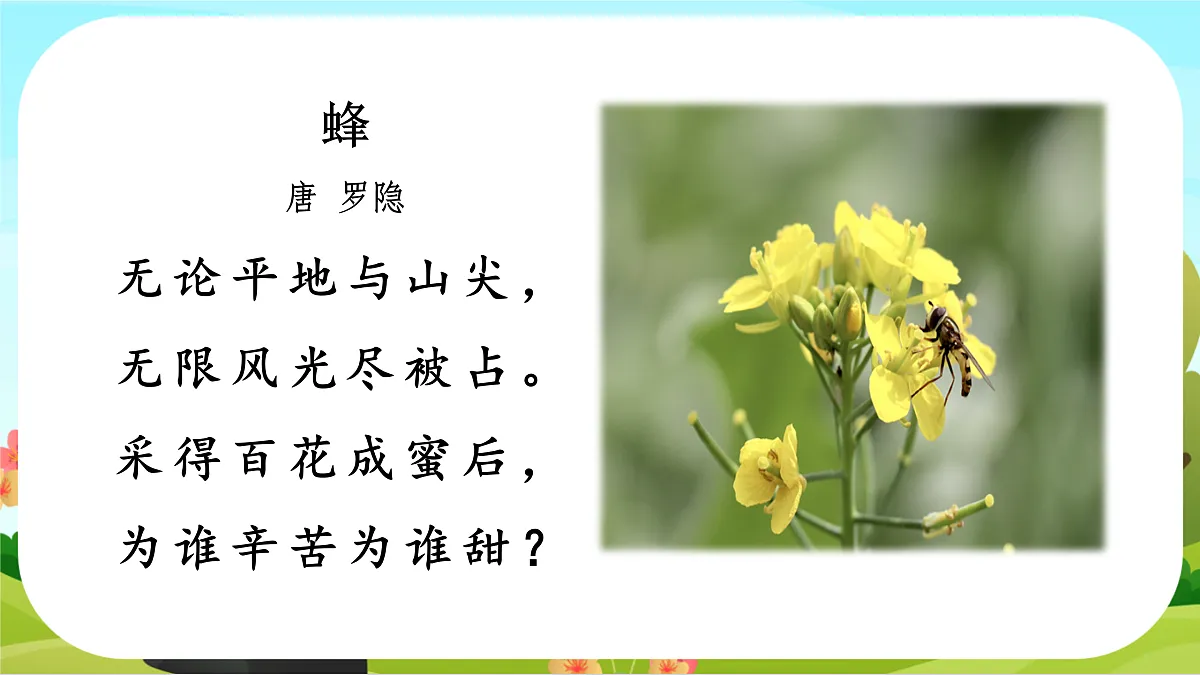 【课件】统编六下古诗词诵读6：《江上渔者》等同情劳动人民古诗一组第3页