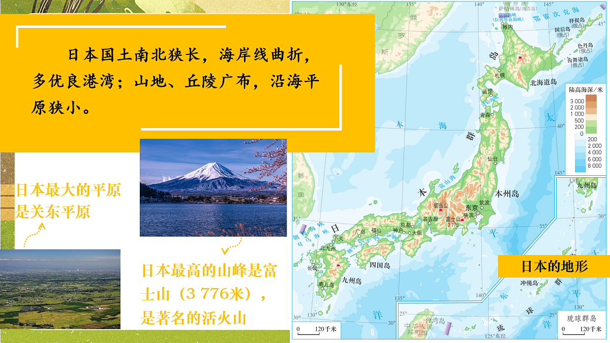 17958718第3页