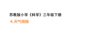 小学科学第1单元 观测天气4 天气预报评课课件ppt