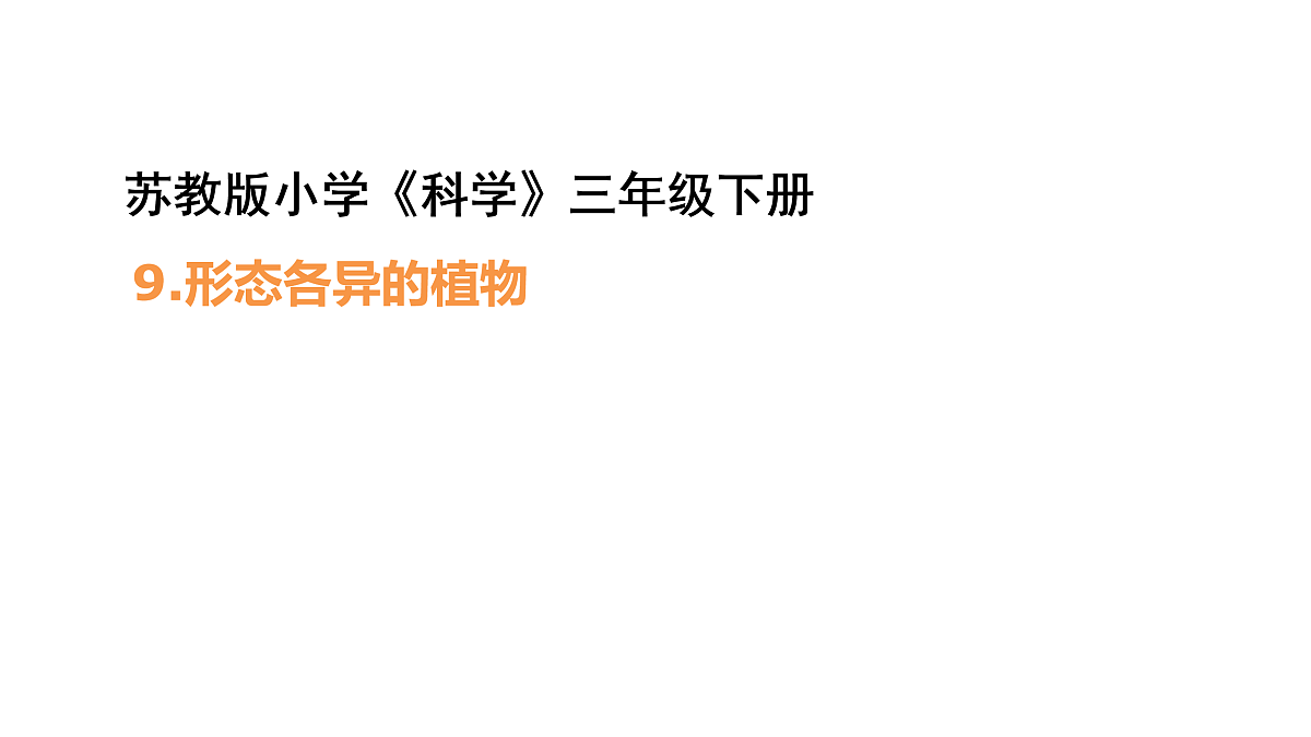 3.9《形态各异的植物》 课件 -2025-2026学年科学三年级下册苏教版第1页