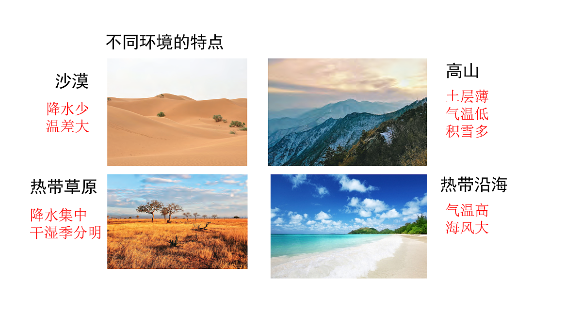 3.9《形态各异的植物》 课件 -2025-2026学年科学三年级下册苏教版第3页