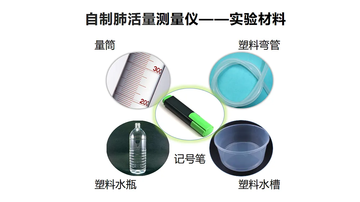 5.18《测量脉搏和肺活量》 课件 -2025-2026学年科学三年级下册苏教版第7页