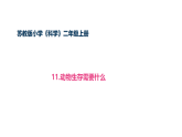 4-11《动物生存需要什么》(课件)2025-2026学年苏教版二年级科学下册