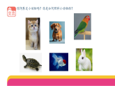 4-11《动物生存需要什么》(课件)2025-2026学年苏教版二年级科学下册