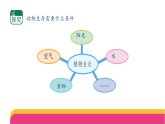 4-11《动物生存需要什么》(课件)2025-2026学年苏教版二年级科学下册