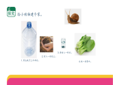 4-11《动物生存需要什么》(课件)2025-2026学年苏教版二年级科学下册