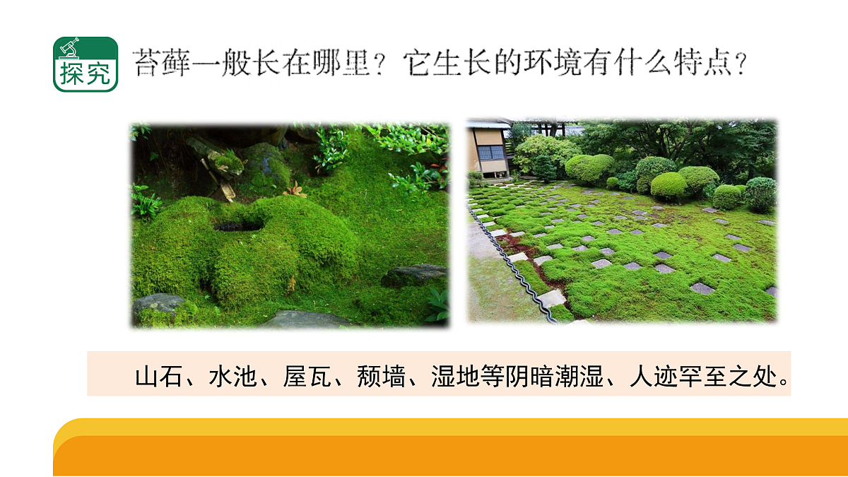 17959396第3页