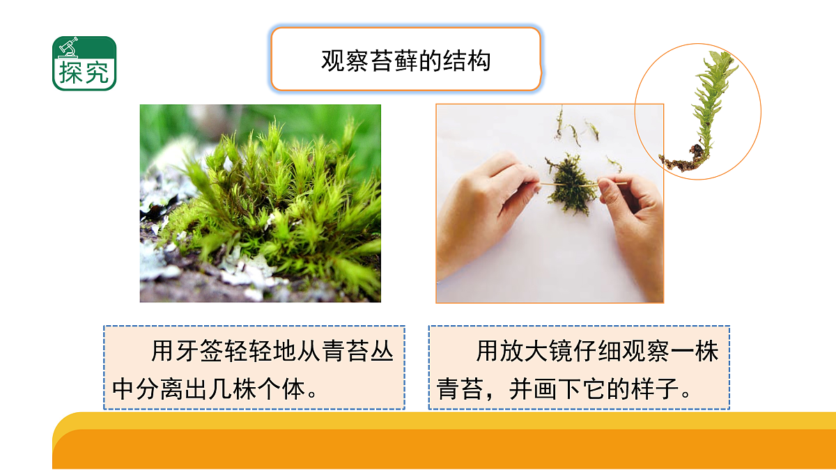 17959396第4页
