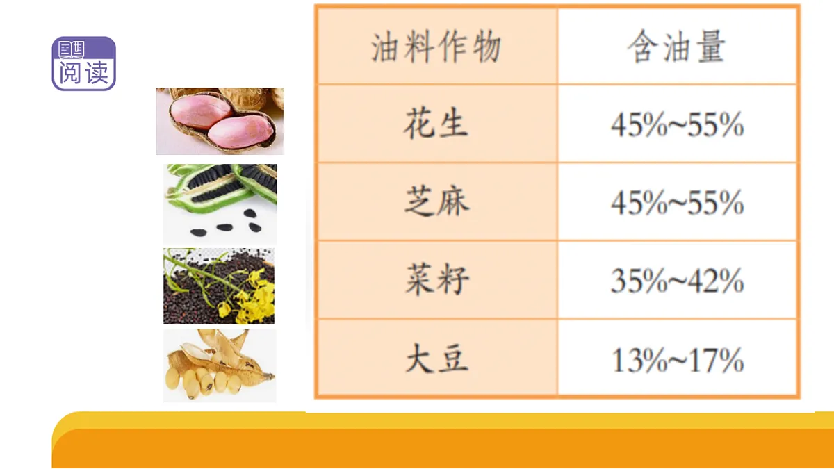 17959412第5页