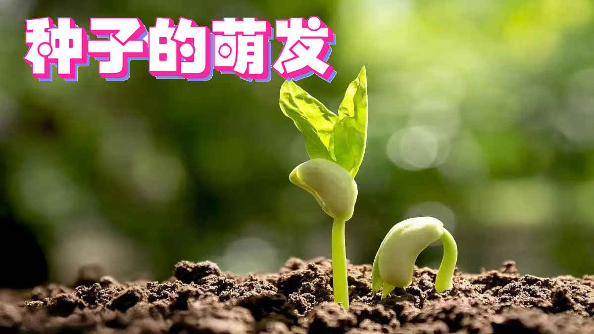 17959468第1页