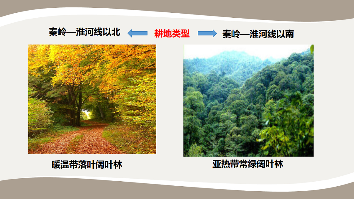 17959646第8页