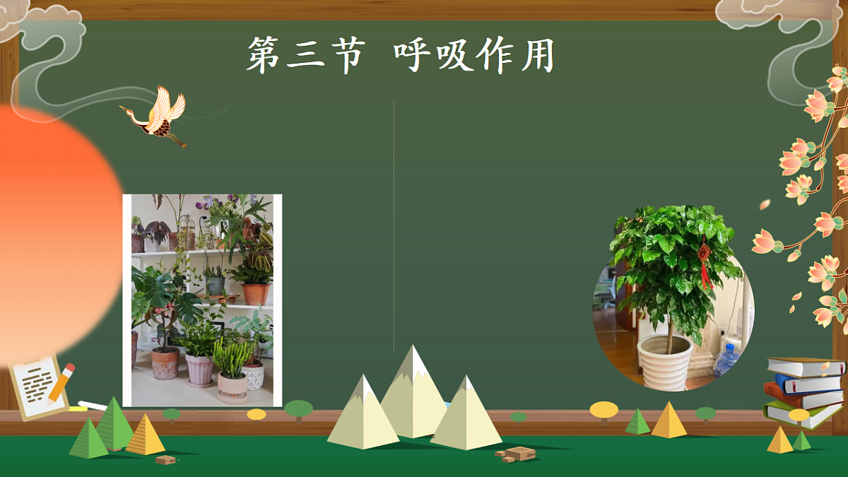 17959672第1页