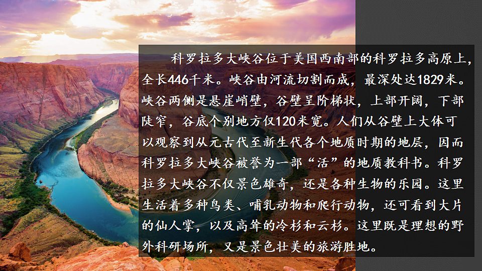 17959779第2页