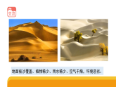 3-11《沙漠里的植物》(课件)2025-2026学年苏教版三年级科学下册