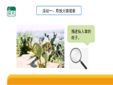 3-11《沙漠里的植物》(课件)2025-2026学年苏教版三年级科学下册