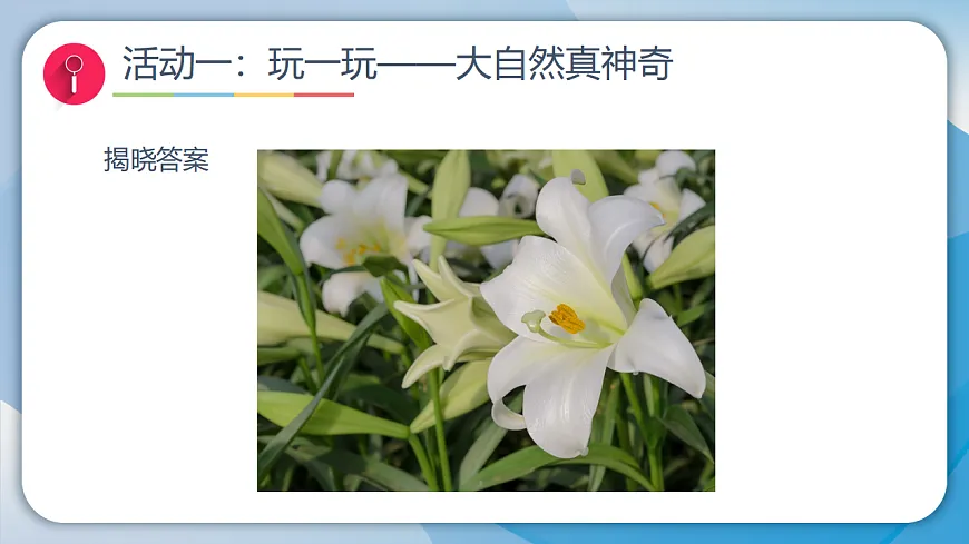 17959906第4页