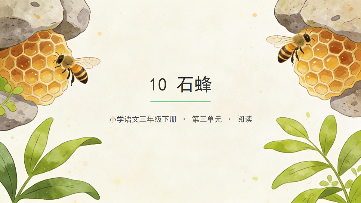 《石蜂》（第1课时）第1页