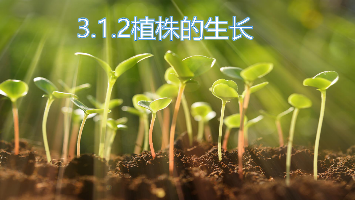 17960544第1页