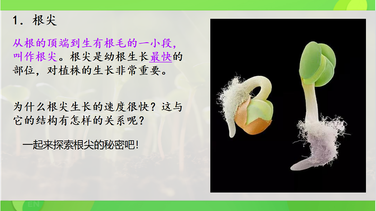 17960544第4页