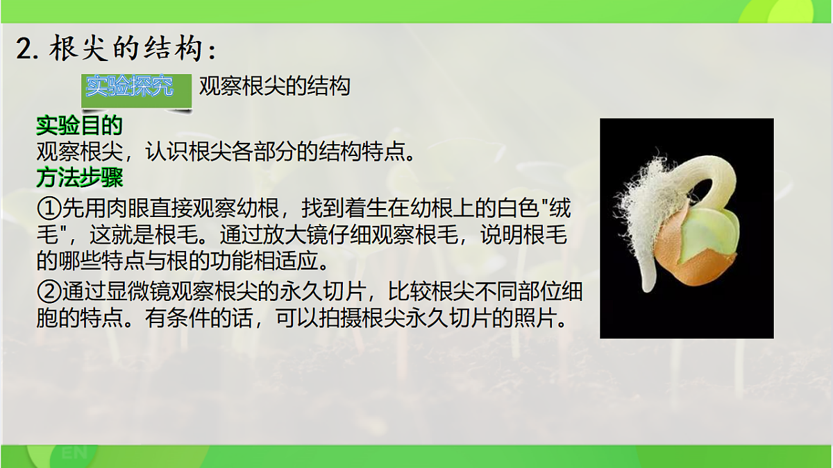 17960544第5页