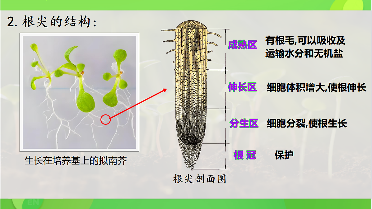 17960544第6页