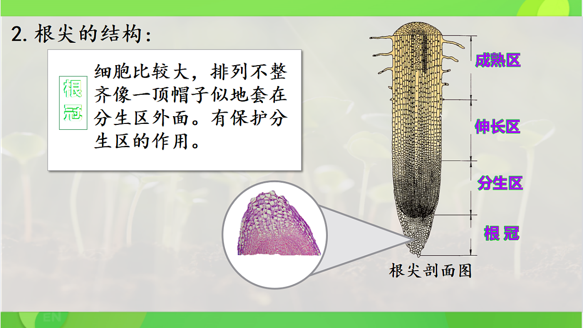 17960544第7页
