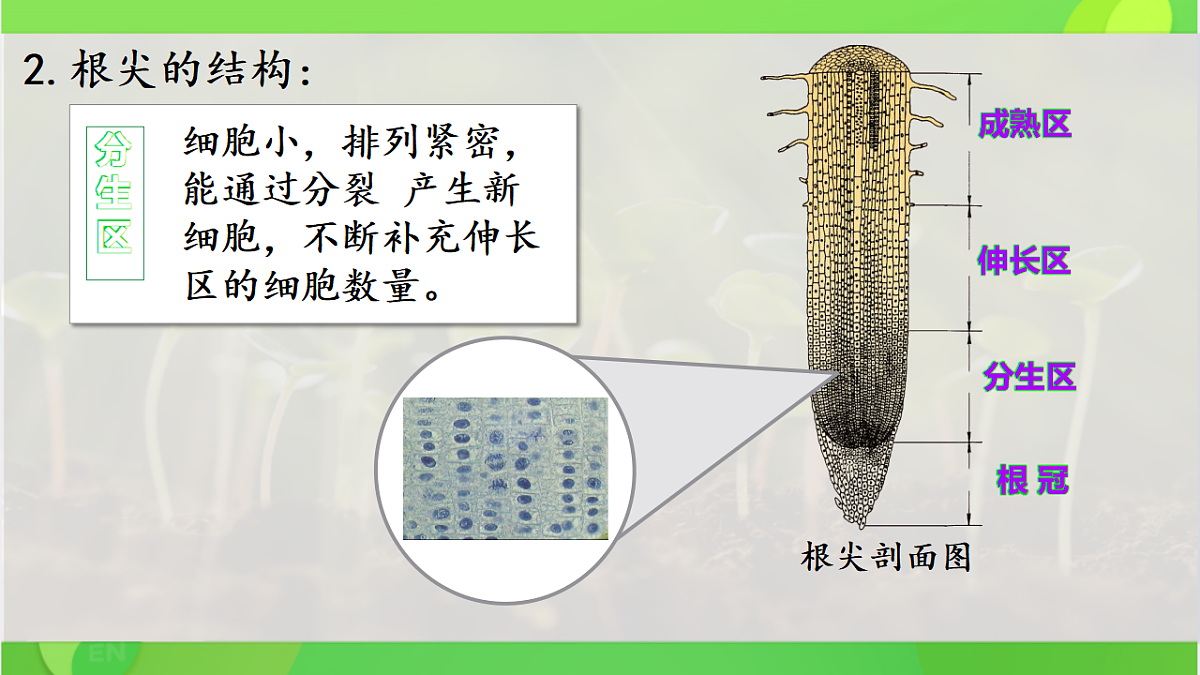 17960544第8页