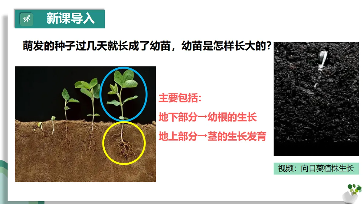 17960545第4页