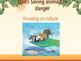Unit5 ：Focusing on culture 课件——2025-2026学年八年级下册《英语》沪教版(2024)