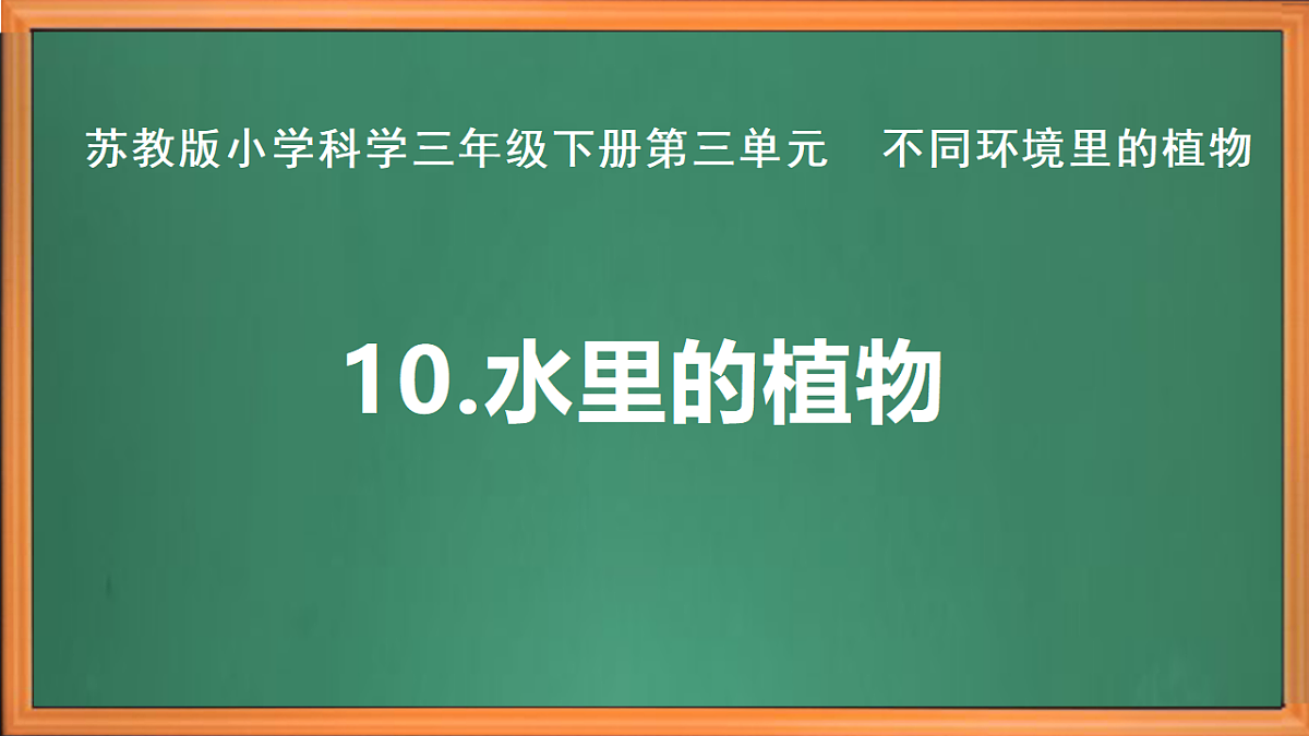 苏教版小学科学三年级下册第三单元《10.水里的植物》课件+作业设计+视频第2页