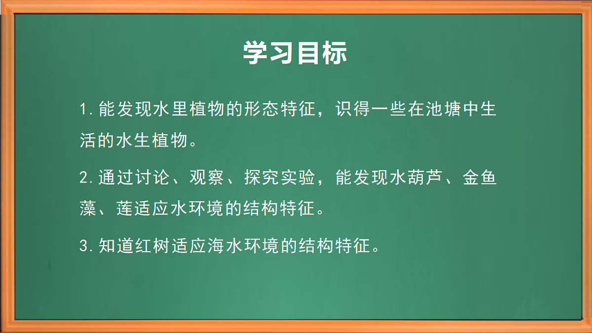 苏教版小学科学三年级下册第三单元《10.水里的植物》课件+作业设计+视频第3页